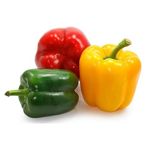 capsicum