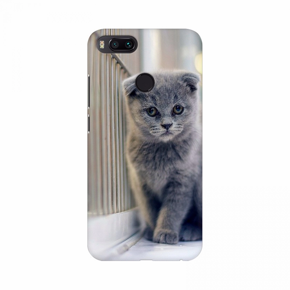 45443535581_a021fce1bf_o_d-1000x1000-1.webp Cat wallpaper Mobile Case Cover - Image 1