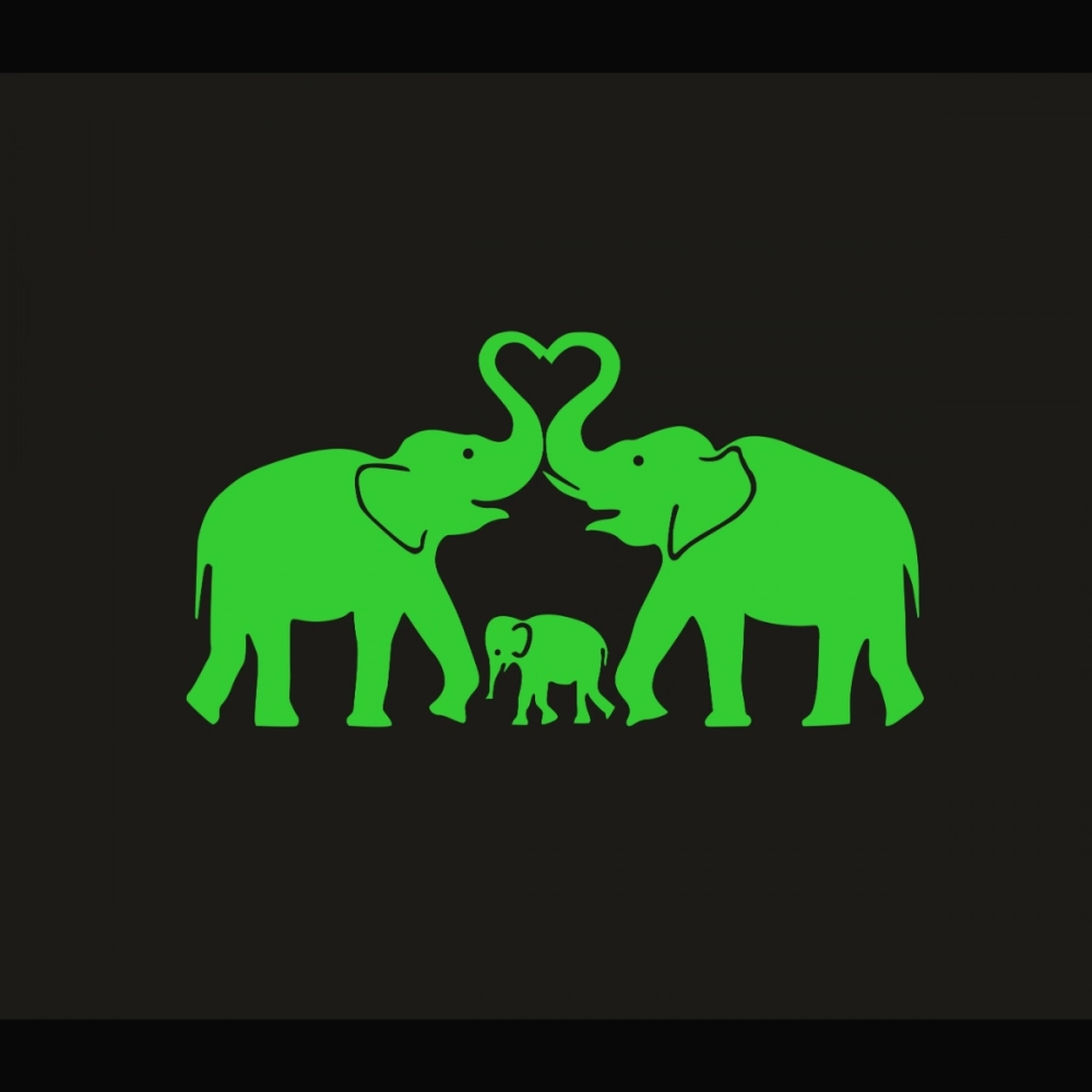 50749921588_35fe31d88c_o_d-1000x1000-1.webp Generic Green Decorative Elephant Radium Wall Sticker - Image 1