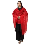 Generic Women's Cotton Embroidered Dupatta (Red, Length: 2.25 to 2.50 Mtr) - Image 4