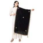 Generic Women's Velvet Gotta Patti Dupatta (Black, Length: 2.25 to 2.50 Mtr)