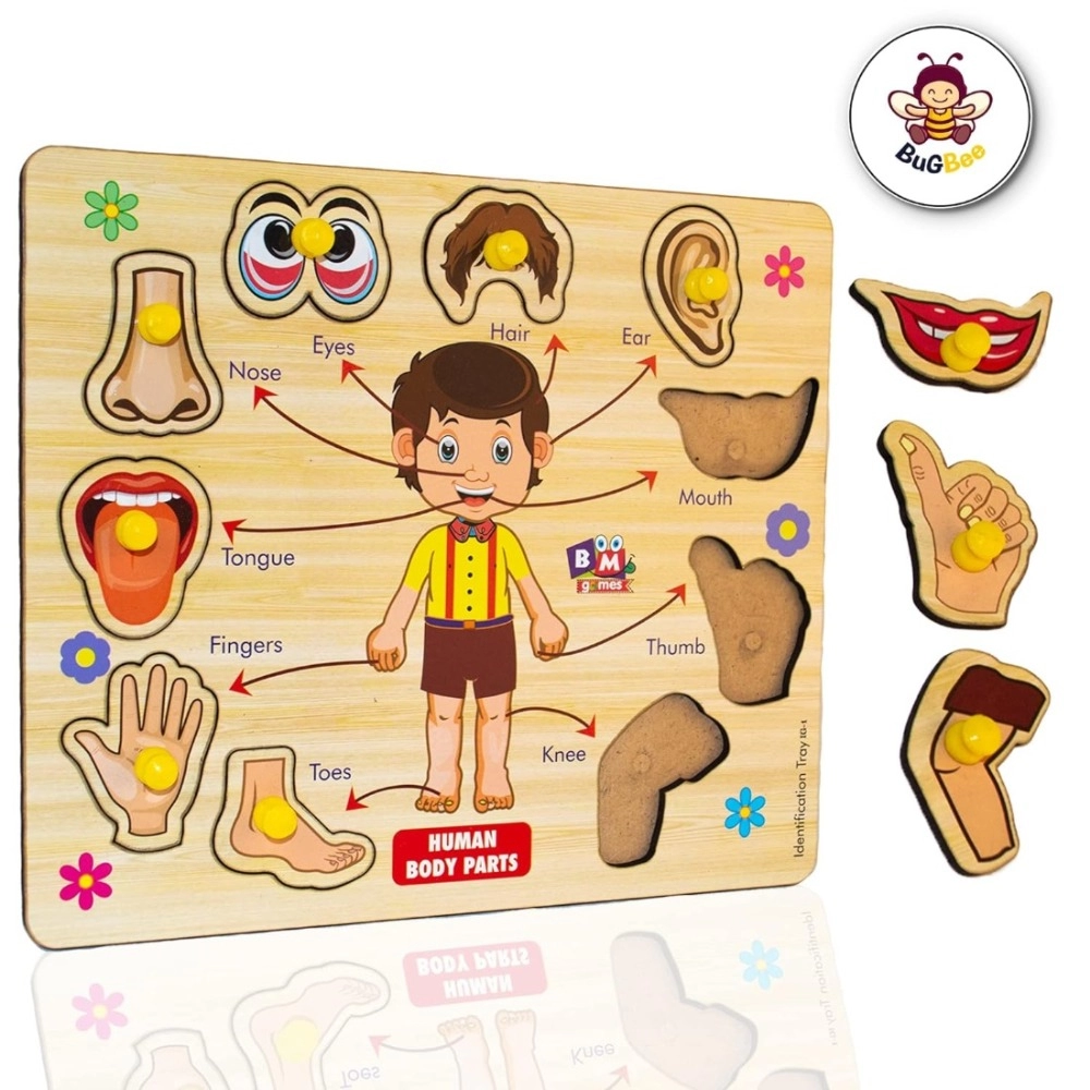 53860517965_34bfba6c84_o_d-1000x1000-1.webp Wooden Puzzle - Body parts | Wood | Educational Toys | 3+ Years - Image 1