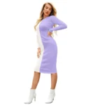 Generic Women's Knitting stretchable Solid Round Neck Full Sleeve Dress (Purple) - Image 2