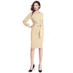 Generic Women's Knitting stretchable Solid Round Neck Full Sleeve Dress (Beige ) - Image 2