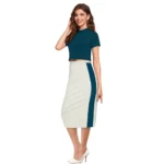 Generic Women's Knitting stretchable Solid Round Neck Cap Sleeve Top (Morpich) - Image 2