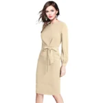 Generic Women's Knitting stretchable Solid Round Neck Full Sleeve Dress (Beige ) - Image 4