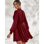 Generic Women's Fox Georgette Solid High Neck Full Sleeve Dress (Maroon) - Image 5