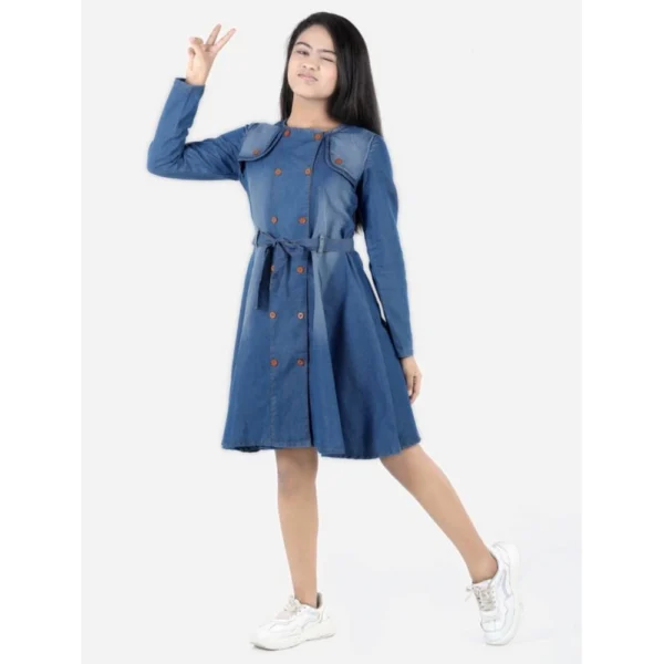 Generic Girl's Denim Solid Long Sleeve Round Neck Dress (Blue)