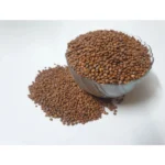 Generic Radish White Microgreen Seeds – Quick Growing, Perfect for Home Gardening