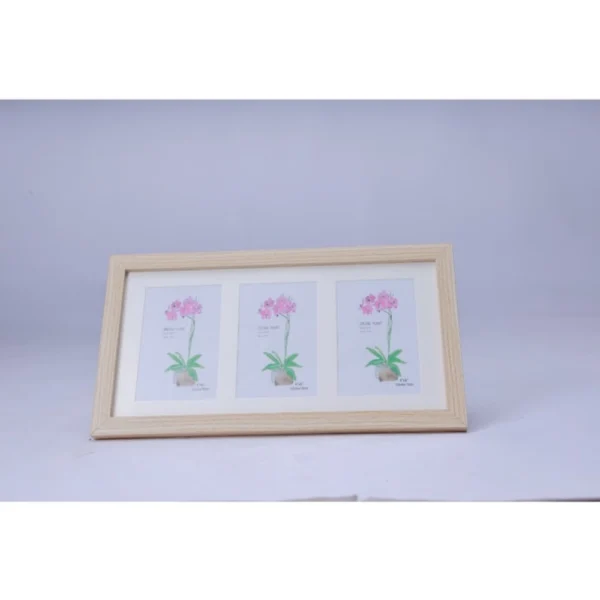 Generic Acrylic Cactus Image Frame (Multicolor)