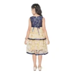 Generic Girl's Fancy Net Net Sleeve Less Round Neck Dress (Blue) - Image 2