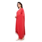Women's Cotton Silk Strips Printed Dupatta (Red, Length:2-2.4 mtr) - Image 4