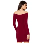 Women's Knitting stretchable Solid V Neck Full Sleeve Dress (Maroon) - Image 2