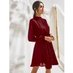 Women's Fox Georgette Solid High Neck Full Sleeve Dress (Maroon) - Image 4