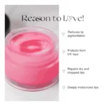 Unisex Herbal Dark And Chapped Lips Rose Lip Balm (10gm) - Image 2