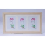 Acrylic Cactus Image Frame (Multicolor) - Image 2