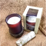 Pack Of_1 Soy Wax And Bees Wax Blend Candles Liquid Volume 160 - Image 2